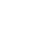 Check Icon
